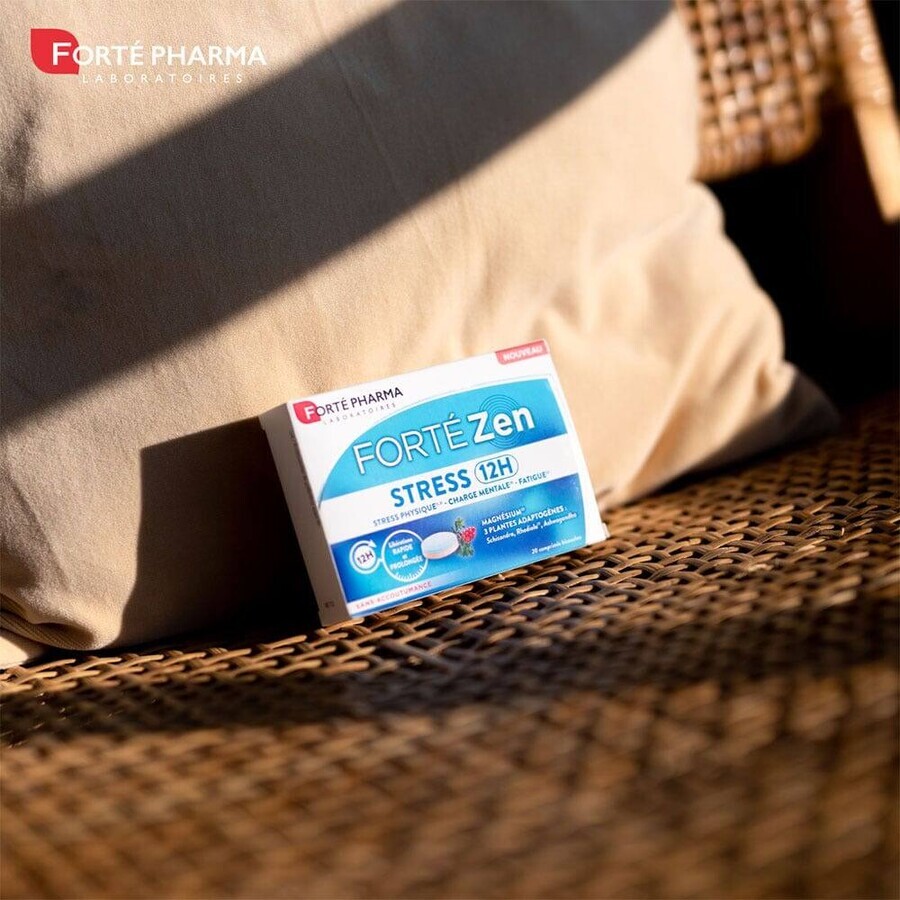 Forté Pharma Forté Zen Stress 12h con vitamina B6 y magnesio 20 comprimidos de doble capa