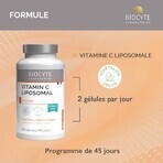 Biocyte Salute Vitamine C Liposomal Gelules 90 capsule Biocyte Salute Vitamine C Liposomal Gelules 90 capsule