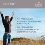 Biocyte Santé Ph Basique 90 Gélules Biocyte Santé Ph Basique 90 Gélules