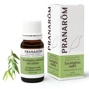 Pranarôm Aceites Esenciales Eucalipto Radie 10ml