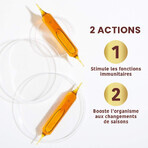 Santarome Organic Royal Jelly 4000 MG 10 Ampoules