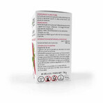 Arkopharma Arkocapsule Gymnema Sylvestre 45 Capsules Arkopharma Arkocapsule Gymnema Sylvestre 45 Capsules