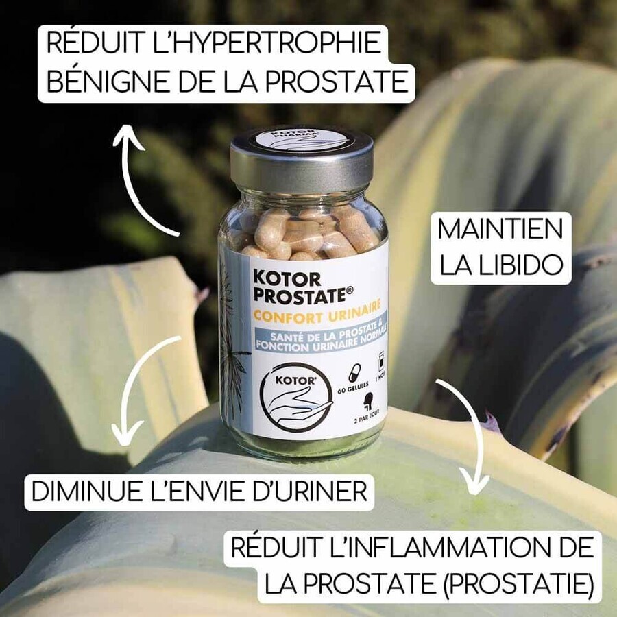 Kotor Pharma Prostată Confort urinar 60 capsule