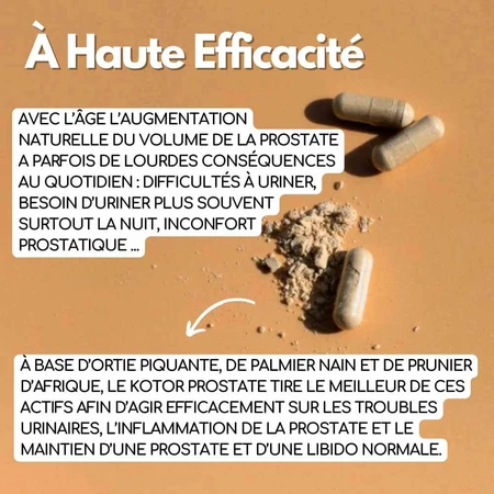 Kotor Pharma Prostate Confort urinaire 60 gélules