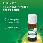 Phytosun Aroms Lavendel ätherisches Öl 10ml