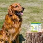 Vetoform Supliment dietetic pentru blană și piele pentru câini și pisici 100g