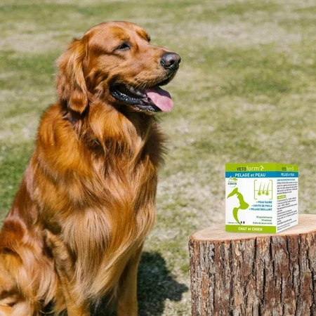 Vetoform Dog and Cat Dietary Coat and Skin Supplement 100g