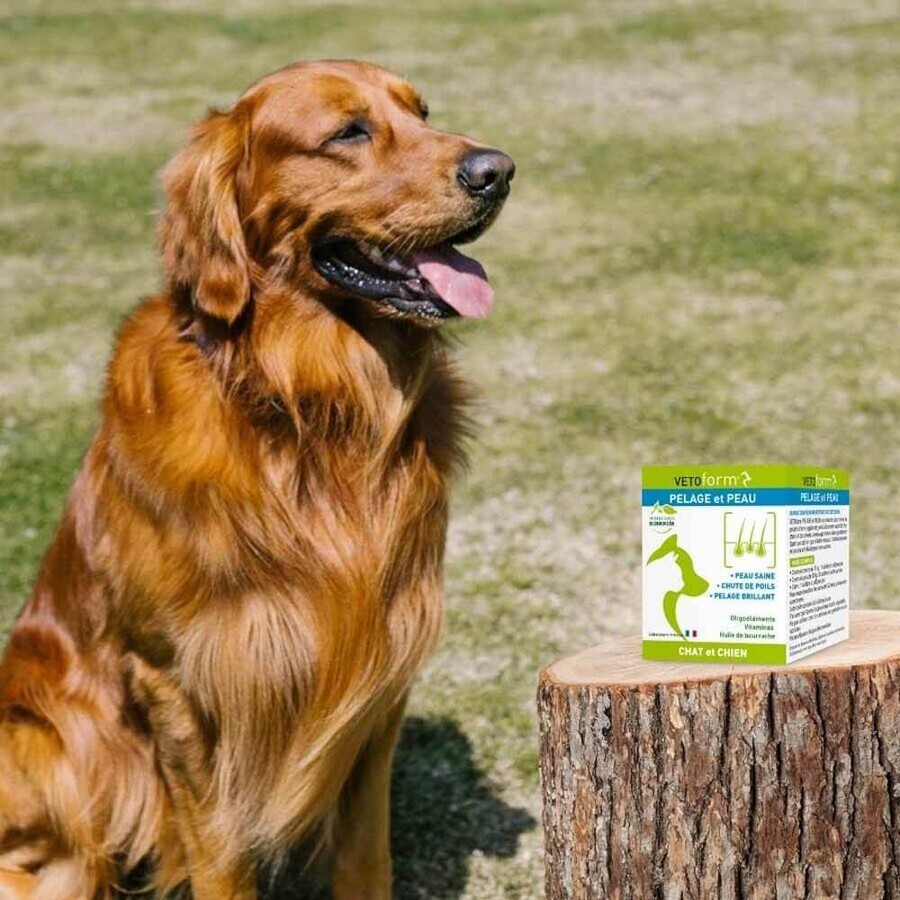 Vetoform Supliment dietetic pentru blană și piele pentru câini și pisici 100g