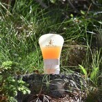 Ballot-Flurin Beez'nergy Sitck refillable 40 ml