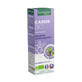 Santarome Organic Blackcurrant Bud G&#233;mmoth&#233;rapie 30 ml