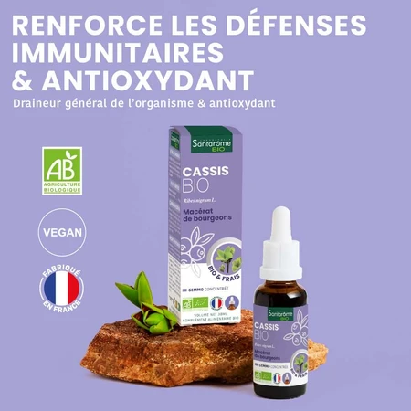 Santarome Bio Zwarte Bes Knop Gémmothérapie 30 ml