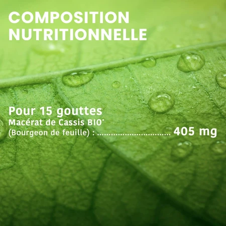Santarome Bio Zwarte Bes Knop Gémmothérapie 30 ml