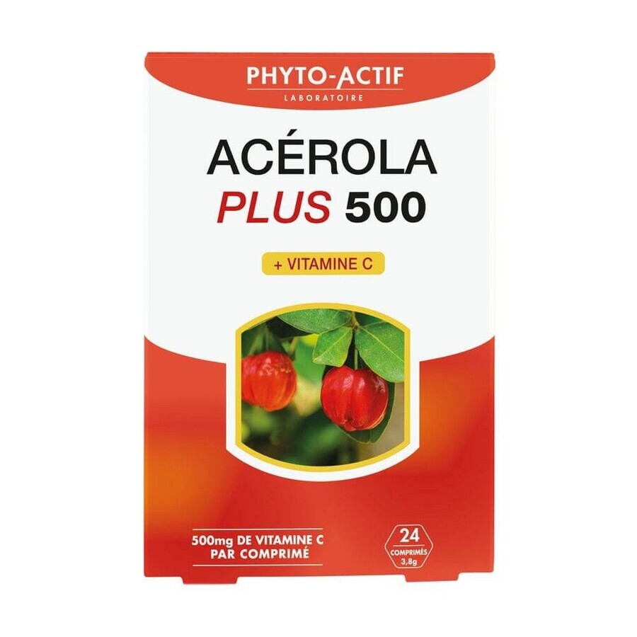 Acquista Phyto-Actif Acerola Plus 500 30 Compresse + Vitamine C 24 Comprimés Phyto-Actif Acerola Plus 500 30 Compresse + Vitamine C 24 Comprimés