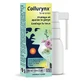 Bausch&Lomb Collurynx Spray Kloof 30ml