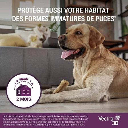 Ceva Vectra Spot-on Oplossing voor Honden >4-10 kg 3 pipetten