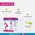 Vetoform Gewrichtssupplement voor hond en kat 100g