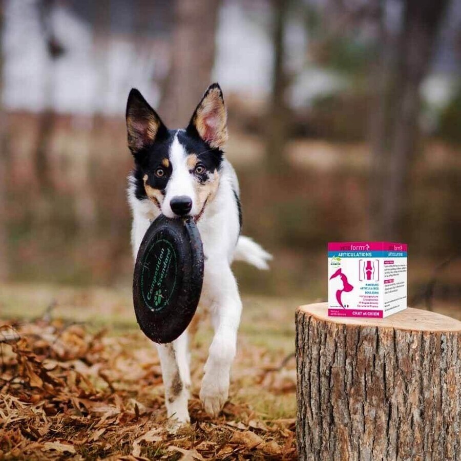 Vetoform Gewrichtssupplement voor hond en kat 100g