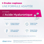 Cicatridine Ovules Vaginaux Cicatrisation et Sécheresse Intime x10 Cicatridine Ovules Vaginaux Cicatrisation et Sécheresse Intime x10
