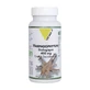 Vit'All+ Harpagophytum Bio 400mg 60 Gélules