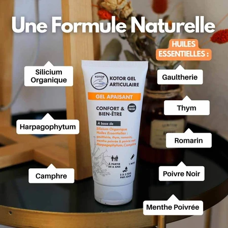 Kotor Pharma Gel Calmante Articular Effet Froid A partir de 6 años 100ml