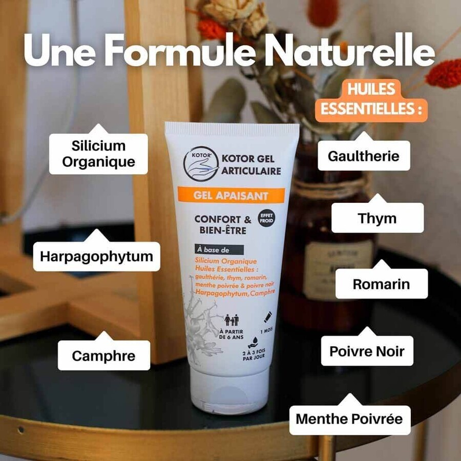 Kotor Pharma Gel Calmante Articular Effet Froid A partir de 6 años 100ml
