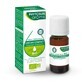 Phytosun Aroms Organic Origan Compact Essential Oil 10ml