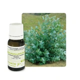 Pranarôm Essential Oils Organic essential oil of Eucalyptus (Eucaliptus Globulus) 10 ml