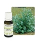 Pranarôm Les Huiles Essentielles Huile Essentielle Bio Eucalyptus Globuleux 10 ml