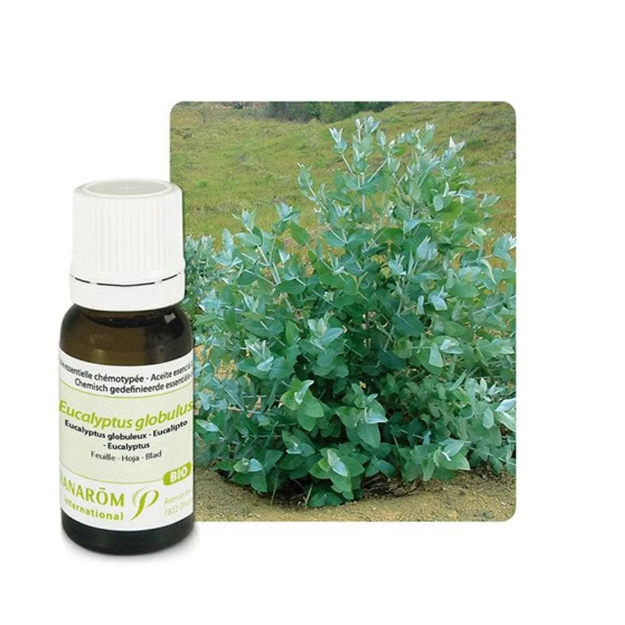Pranarôm Les Huiles Essentielles Huile Essentielle Bio Eucalyptus Globuleux 10 ml