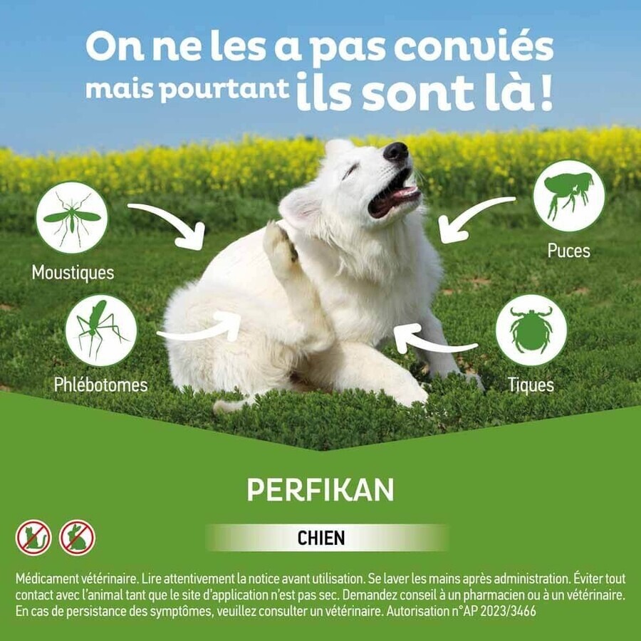 Clement-Thekan Pulci e zecche Cane 4-10kg 4 Pipette
