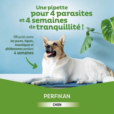 Clement-Thekan Flöhe und Zecken Hund 4-10kg 4 Pipetten