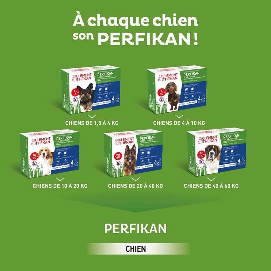Clement-Thekan Pulci e zecche Cane 4-10kg 4 Pipette