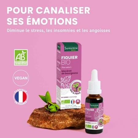 Santarome Bourgeon Figuier Bio Gémmothérapie 30ml