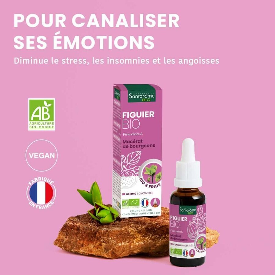 Santarome Brote de Higo Bio Gémmothérapie 30 ml