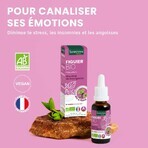 Santarome Brote de Higo Bio Gémmothérapie 30 ml Santarome Brote de Higo Bio Gémmothérapie 30 ml
