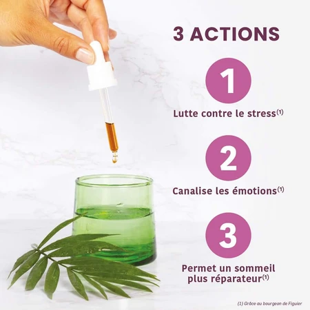 Santarome Bourgeon Figuier Bio Gémmothérapie 30ml