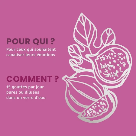 Santarome Bourgeon Figuier Bio Gémmothérapie 30ml