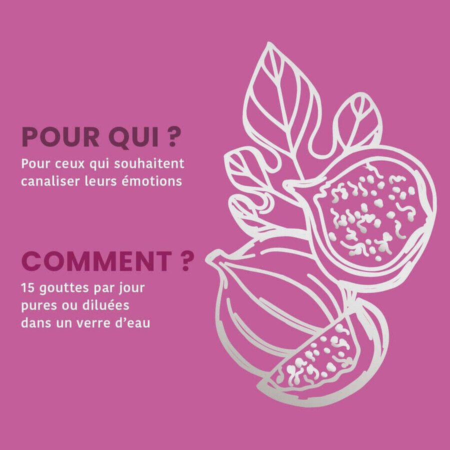 Santarome Brote de Higo Bio Gémmothérapie 30 ml