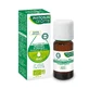 Phytosun Aroms Essential Oil of Rosemary Cineole Bio Aroma 10ml