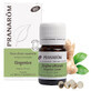 Pranar&#244;m Organic Ginger Essential Oils 60 Pearls