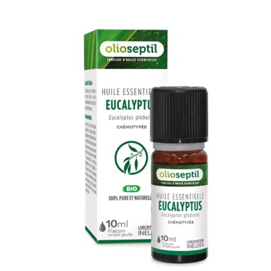 Cumpără Olioseptil Ulei esențial de Eucalipt (Eucalyptus Globulus) Flacon picurător 10ml Olioseptil Ulei esențial de Eucalipt (Eucalyptus Globulus) Flacon picurător 10ml