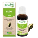 Herbalgem Bourgeons Fresno Ecológico 30ml
