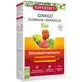 Superdiet Organic Ginkgo Boost 20 15 ml ampollas