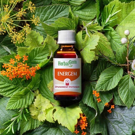 Herbalgem Complexes De Gemmotherapie Energem Epuisement Physique Bio 30ml