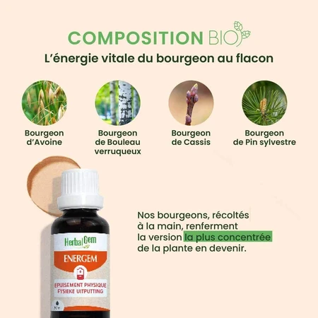 Herbalgem Complexes De Gemmotherapie Energem Epuisement Physique Bio 30ml