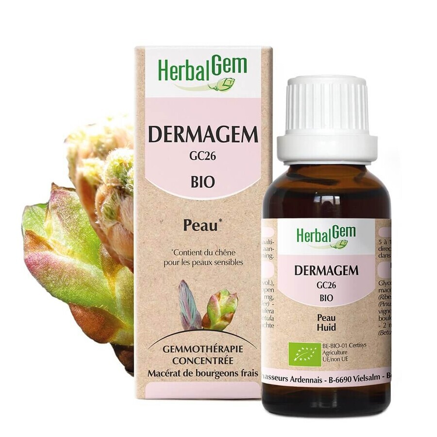 Herbalgem Complexes De Gemmotherapie Dermagem Complexe Peau Bio 30ml