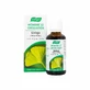 A.Vogel France Extrait de plante fraîche Ginkgo 50ml