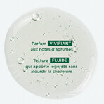 Klorane Șampon cu pulpă de cedru Păr mixt și gras 400 ml