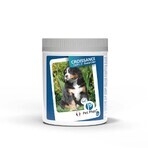 Ceva Pet Phos Crescita Ca/P=2 Cani di grossa taglia 100 compresse Ceva Pet Phos Crescita Ca/P=2 Cani di grossa taglia 100 compresse