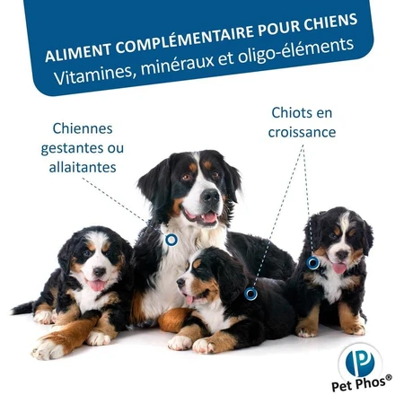 Ceva Pet Phos Crecimiento Ca/P=2 Perros Grandes 100 comprimidos